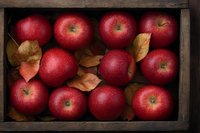 Fresh red apples in rustic wooden box with autumn leaves, overhead view. Natural organic harvest with rich colors and textured details for food and seasonal content.