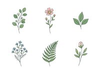 Botanical line art illustrations of leaves and flowers isolated on white background, ready for design projects, invitations, and decorative applications.