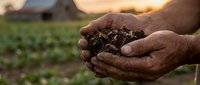 Farmer hands holding rich dark soil at sunset showcasing organic agriculture and sustainable farming practices for crop cultivation and gardening.