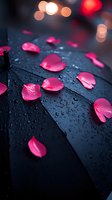 Pink rose petals scattered on wet black umbrella with raindrops and bokeh lights in background creating romantic rainy day atmosphere.