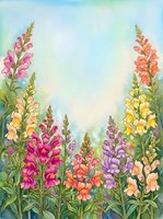 Watercolor snapdragon flowers in pink, purple, orange and yellow bloom against a soft blue-green sky, creating a vibrant garden scene.