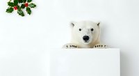 Polar bear peeking over white cube with holly and berries decoration on white background, isolated for holiday greeting cards and seasonal marketing campaigns.