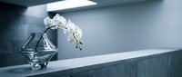 White orchid flowers in geometric glass vase on modern marble countertop in contemporary kitchen interior with clean minimalist design and natural lighting.