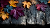 Colorful autumn maple leaves in burgundy, yellow, and teal arranged on rustic weathered wooden planks, creating seasonal contrast.