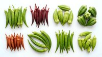 Assorted fresh okra and chili peppers arranged on white background, overhead view. Vegetables for cooking, healthy eating, and culinary design projects.