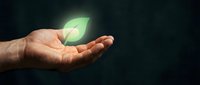 Male hands gently holding glowing green leaf symbolizing environmental protection, sustainability, and eco-friendly business practices on dark background.
