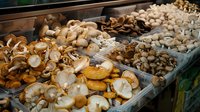 Fresh assorted edible mushrooms displayed in market containers, including oyster and shiitake varieties, showing natural textures and earthy colors.