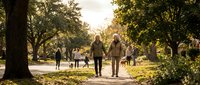 Senior couple walking hand in hand through autumn park with golden sunlight filtering through trees, enjoying peaceful retirement lifestyle.