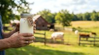 Fresh milk in glass jar held by farmer with rural pasture and livestock in background, suitable for dairy product marketing and agricultural content.