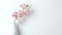 Pink cherry blossom branch in white vase on clean background for spring decor, minimalist floral arrangement and seasonal home styling projects.
