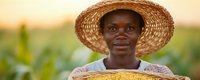 Young African woman farmer wearing straw hat holding basket of fresh corn harvest in agricultural field during golden hour sunset light.