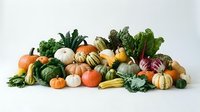 Autumn harvest display featuring colorful pumpkins, gourds, squash and fresh vegetables arranged on white background for seasonal cooking and decoration.