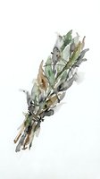 Watercolor painting of dried herb bundle with green and brown tones, isolated on white background. Suitable for botanical designs, wellness packaging, and herbal product illustrations.