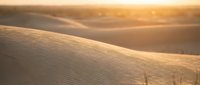 Golden sand dunes with rippled texture during sunset creating warm atmospheric desert landscape for travel and nature photography projects.