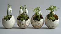 Delicate snowdrops and green sprouts growing in decorative eggshell planters arranged in row, spring gardening concept on neutral background.