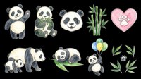 Cute panda characters and bamboo elements isolated on transparent background. Ready for t-shirt design, clipart, stickers, print-on-demand products and sublimation projects.