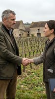 Mature businessman and young female professional shaking hands in vineyard setting, partnership agreement concept for wine industry collaboration.