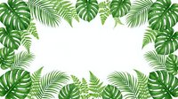 Tropical green leaves frame border with monstera palm and fern foliage on white background for summer design projects and botanical decorations.