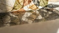 Dried autumn leaves with delicate veins casting shadows on textured stone surface, suitable for fall seasonal backgrounds, nature design projects, and botanical artwork compositions.