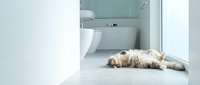 Fluffy orange tabby cat sleeping peacefully on clean white bathroom floor tiles near modern toilet and bathtub in minimalist home interior design.