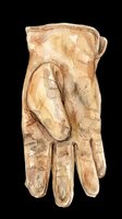 Watercolor illustration of an open human hand with anatomical detail, isolated on transparent background. Ready for medical education, anatomy clipart, healthcare design, print-on-demand products, and educational materials.