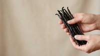 Hand holding fresh vanilla beans, isolated on neutral beige background. Suitable for culinary, cooking, baking, food styling, recipe blogs, ingredient photography, and gourmet food packaging design.