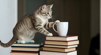 Tabby and white kitten standing on stack of books reaching toward white mug, playful pet behavior for educational and lifestyle content.