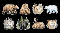 Watercolor bear collection featuring brown bears, polar bear, bear paw print, sleeping bear, and decorative bear face with floral crown. Isolated on transparent background, ready for t-shirts, stickers, clipart, sublimation, and print-on-demand designs.