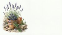 Lavender plant in terracotta pot with herbs and stones on white background, isolated botanical arrangement for aromatherapy and garden design projects.