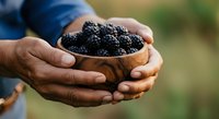 Male hands holding wooden bowl filled with fresh ripe blackberries outdoors. Suitable for food, agriculture, harvest, and healthy eating content.