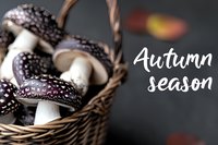 Fresh mushrooms in wicker basket with autumn season text overlay for seasonal cooking and harvest themes.