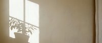Sunlight casting plant shadow on neutral beige wall, creating natural light and shadow play for interior design, backgrounds, and minimalist aesthetic projects.