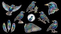 Hummingbirds and feathers collection isolated on transparent background, ready for t-shirt design, clipart, stickers, sublimation and print-on-demand projects.