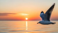 Seagull flying over calm ocean water during golden sunset with warm orange and pink sky colors reflecting on sea surface creating peaceful coastal scene.