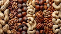 Mixed nuts and seeds background with peanuts, cashews, pecans, hazelnuts, and walnuts arranged in rows showing variety of healthy natural snacks.