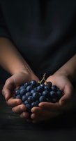 Hands holding fresh dark grapes with stem against dark background. Suitable for food, agriculture, harvest, and healthy eating concepts.