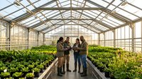 Three diverse agricultural professionals discussing crop cultivation in modern commercial greenhouse with lush green vegetable rows and natural lighting.