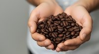 Close-up of male hands holding roasted coffee beans against neutral background. Suitable for coffee business, café marketing, and beverage industry content.