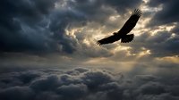 Majestic eagle soaring above dramatic storm clouds with golden sunlight breaking through dark sky. Powerful bird of prey silhouette against moody cloudscape for freedom concepts.