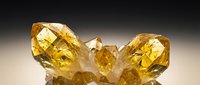 Cluster of golden yellow citrine crystals with transparent faceted surfaces and natural geometric formations against neutral gradient background.