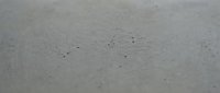 Weathered concrete surface with fine cracks and dust particles, suitable for backgrounds, textures, and industrial design projects.