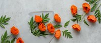 Orange poppy flowers with green foliage scattered on concrete surface, flat lay arrangement for spring botanical design and natural decoration projects.