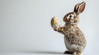 Adorable gray rabbit holding colorful decorated Easter egg while standing on hind legs against light background, festive spring holiday concept.