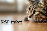 Close-up portrait of tabby cat with reflective text on wooden surface showing emotional connection between pets and owners. Perfect for pet care marketing.