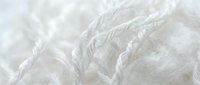 Soft white feather texture with delicate details and natural light, suitable for backgrounds, design elements, and creative projects.