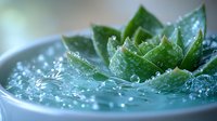 Fresh green succulent plant with water drops in soft focus, macro photography showing detailed texture of leaves and sparkling droplets on aqua background.