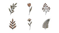 Botanical line art illustrations featuring isolated leaves, branches, and wildflowers in earthy tones. Perfect for design projects, textiles, and decorative applications.