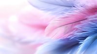 Delicate feathers in soft pastel pink and blue create dreamy ethereal background with gentle light effects and smooth transitions between colors. Macro photography.