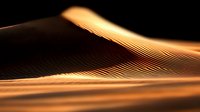 Abstract golden waves on black background create smooth flowing curves with light and shadow effects, suitable for luxury design projects and presentations.