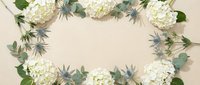 White hydrangea flowers and eucalyptus leaves arranged in elegant frame border on beige background. Floral composition for wedding invitations, greeting cards.